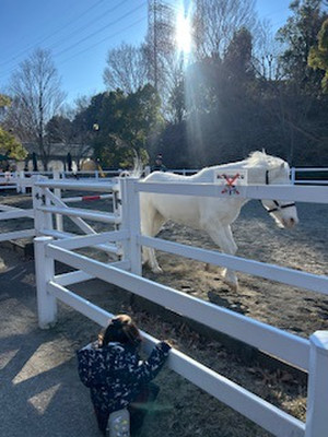 2026010602 2026010602