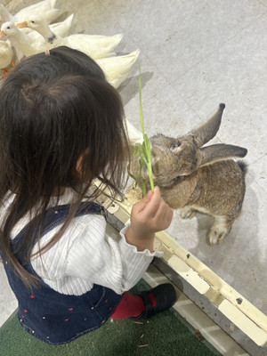 2026011301 2026011301