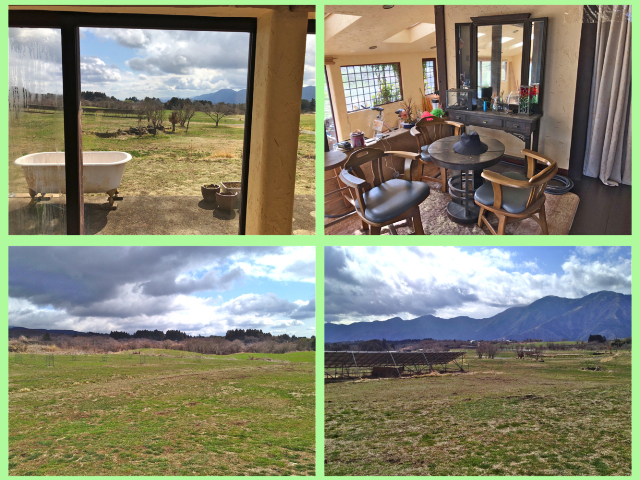 Ls_20260404_03 Ls_20260404_03