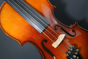Violin2478783_19201