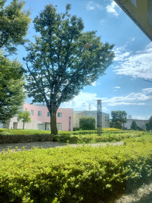 Img_20250815_142051125_hdr
