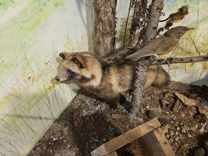 20251011_163809 20251011_163809