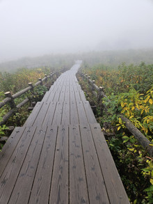 20251011_164403 20251011_164403