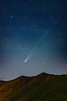 1762599083002_2 1762599083002_2