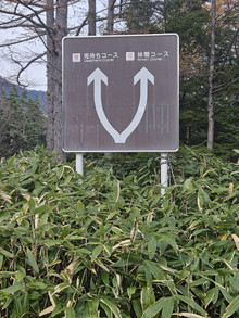 20251108_155102 20251108_155102