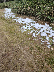 20251108_155214_2 20251108_155214_2