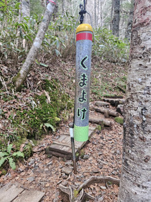 20251108_155934 20251108_155934