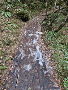 20251108_160607 20251108_160607