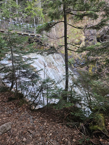 20251108_160654 20251108_160654