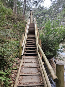 20251108_160702 20251108_160702