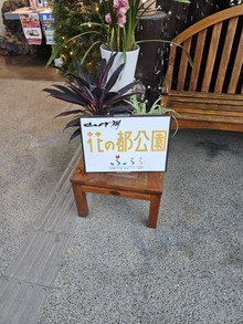 20251129_154805 20251129_154805