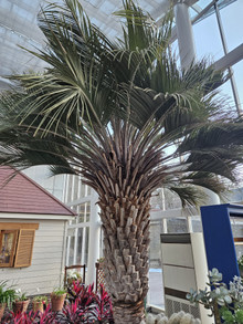 20251129_155836_2 20251129_155836_2