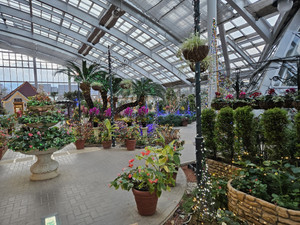 20251129_161910 20251129_161910