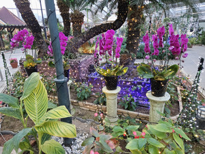 20251129_161920_2 20251129_161920_2