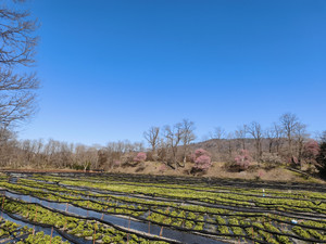 Mvimg_20260316_143139