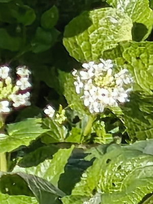 Mvimg_20260316_143334