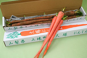 Vegetables_ph004